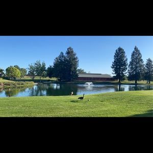 Meet your Posher, Edna